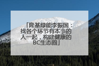 隆基绿能李振国：找各个环节有本事的人一起，构建健康的BC生态圈
