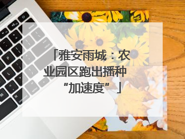 雅安雨城：农业园区跑出播种“加速度”