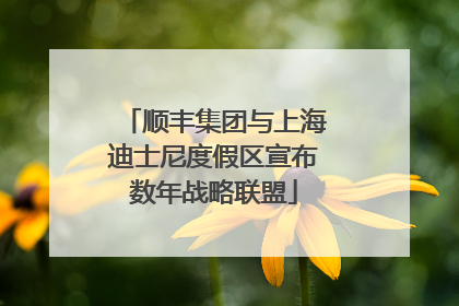 顺丰集团与上海迪士尼度假区宣布数年战略联盟