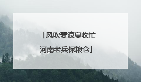风吹麦浪夏收忙 河南老兵保粮仓