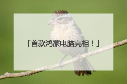 首款鸿蒙电脑亮相！