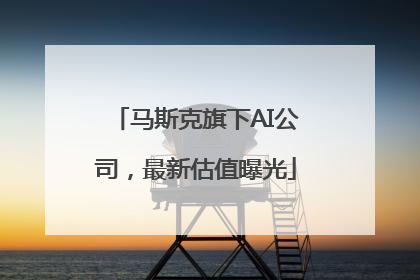 马斯克旗下AI公司，最新估值曝光