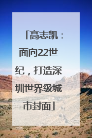 高志凯：面向22世纪，打造深圳世界级城市封面