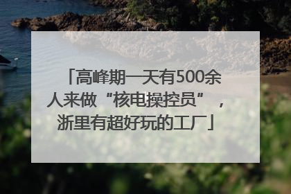 高峰期一天有500余人来做“核电操控员”，浙里有超好玩的工厂