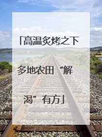 高温炙烤之下 多地农田“解渴”有方
