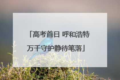 高考首日 呼和浩特万千守护静待笔落