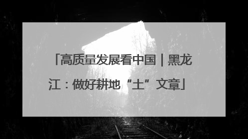 高质量发展看中国｜黑龙江：做好耕地“土”文章