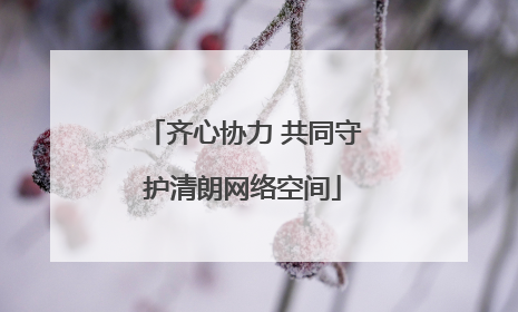 齐心协力 共同守护清朗网络空间