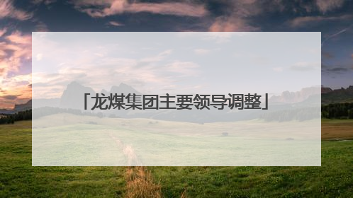 龙煤集团主要领导调整
