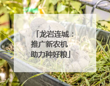 龙岩连城：推广新农机 助力种好粮