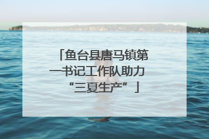 鱼台县唐马镇第一书记工作队助力“三夏生产”
