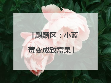 麒麟区：小蓝莓变成致富果