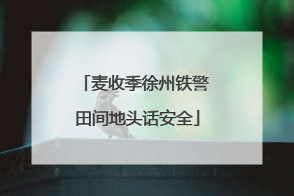 麦收季徐州铁警田间地头话安全