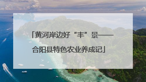 黄河岸边好“丰”景——合阳县特色农业养成记