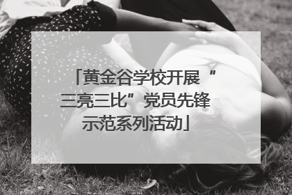 黄金谷学校开展“三亮三比”党员先锋示范系列活动