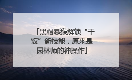 黑帽悬猴解锁“干饭”新技能，原来是园林师的神操作