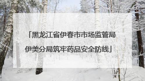 黑龙江省伊春市市场监管局伊美分局筑牢药品安全防线