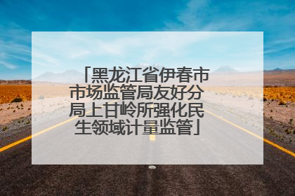 黑龙江省伊春市市场监管局友好分局上甘岭所强化民生领域计量监管