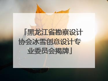 黑龙江省勘察设计协会冰雪创意设计专业委员会揭牌