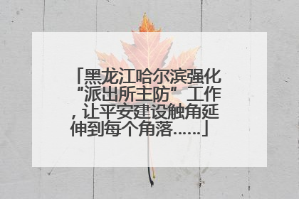 黑龙江哈尔滨强化“派出所主防”工作，让平安建设触角延伸到每个角落……