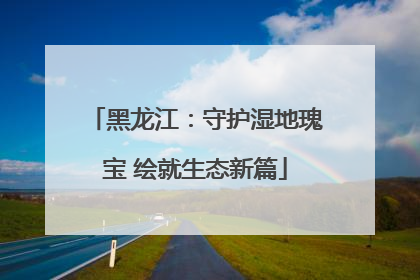黑龙江：守护湿地瑰宝 绘就生态新篇
