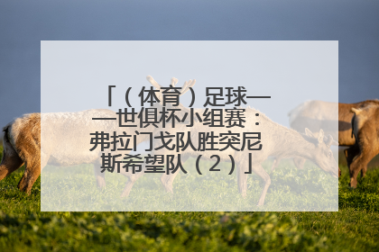 （体育）足球——世俱杯小组赛：弗拉门戈队胜突尼斯希望队（2）