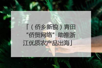 （侨乡新貌）青田“侨贸网络”助推浙江优质农产品出海