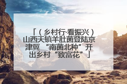 （乡村行·看振兴）山西天镇羊肚菌登陆京津冀 “南菌北种”开出乡村“致富花”