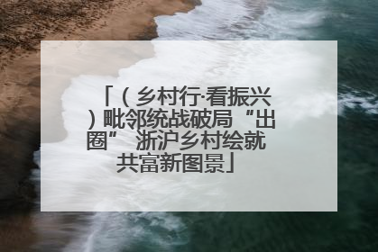 （乡村行·看振兴）毗邻统战破局“出圈” 浙沪乡村绘就共富新图景
