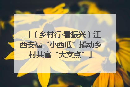（乡村行·看振兴）江西安福“小西瓜”撬动乡村共富“大支点”