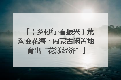 （乡村行·看振兴）荒沟变花海：内蒙古闲置地育出“花漾经济”