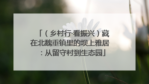 （乡村行·看振兴）藏在北魏重镇里的坝上雅居：从留守村到生态园