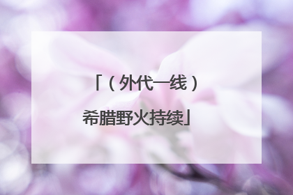（外代一线）希腊野火持续