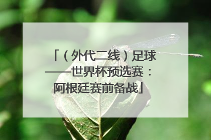 （外代二线）足球——世界杯预选赛：阿根廷赛前备战