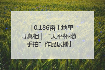 0.186亩土地里寻真相｜“天平杯·随手拍”作品展播