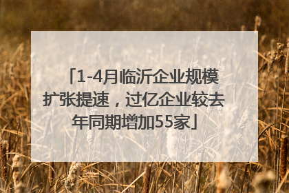 1-4月临沂企业规模扩张提速，过亿企业较去年同期增加55家