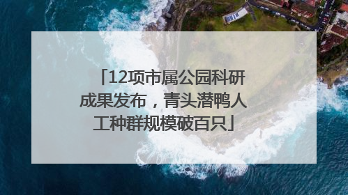 12项市属公园科研成果发布，青头潜鸭人工种群规模破百只