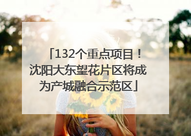 132个重点项目！沈阳大东望花片区将成为产城融合示范区