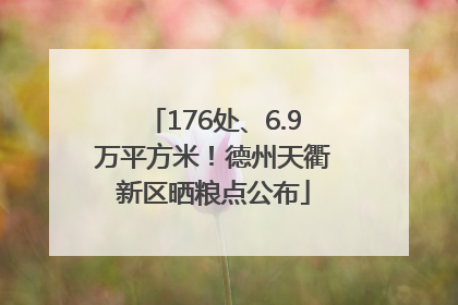 176处、6.9万平方米！德州天衢新区晒粮点公布