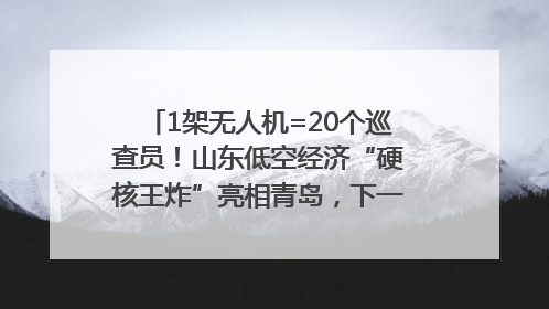 1架无人机=20个巡查员!山东低空经济“硬核王炸”亮相青岛,下一个万亿赛道藏在这里