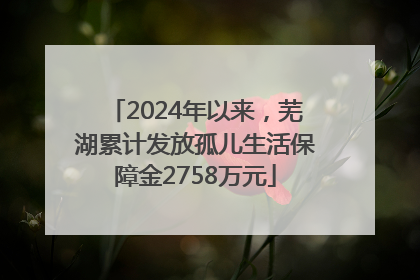 2024年以来，芜湖累计发放孤儿生活保障金2758万元