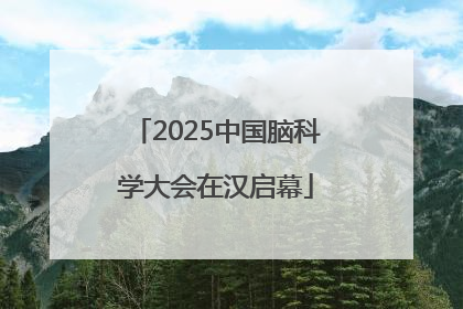2025中国脑科学大会在汉启幕