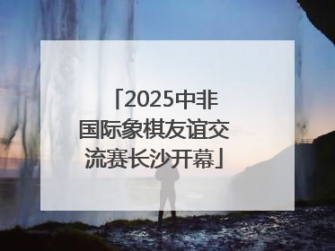 2025中非国际象棋友谊交流赛长沙开幕