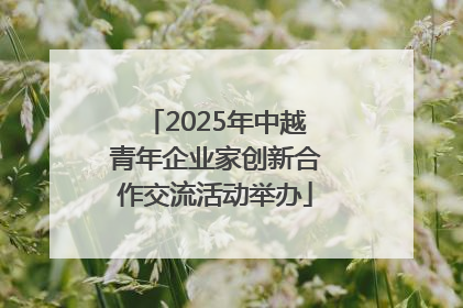 2025年中越青年企业家创新合作交流活动举办