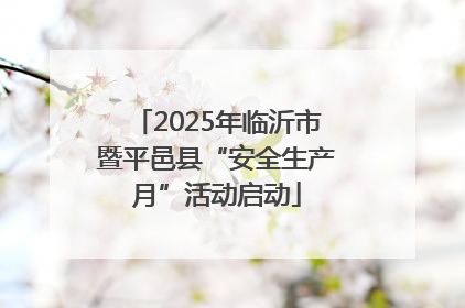 2025年临沂市暨平邑县“安全生产月”活动启动
