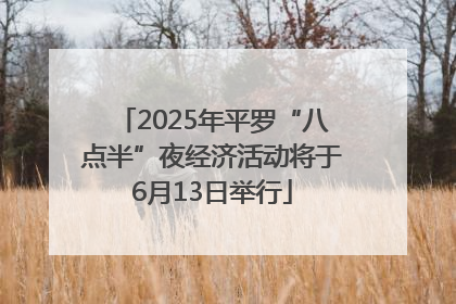 2025年平罗“八点半”夜经济活动将于6月13日举行