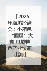 2025年廊坊经洽会：小箱包“圈粉”大咖 县域特色产业快速出海