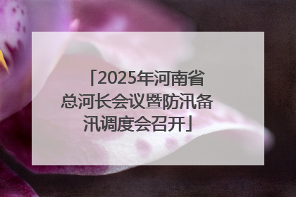 2025年河南省总河长会议暨防汛备汛调度会召开