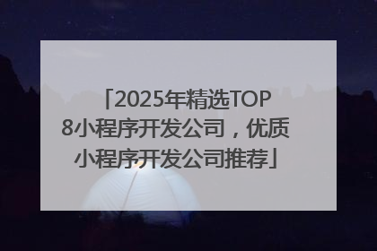 2025年精选TOP8小程序开发公司，优质小程序开发公司推荐