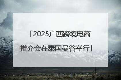 2025广西跨境电商推介会在泰国曼谷举行